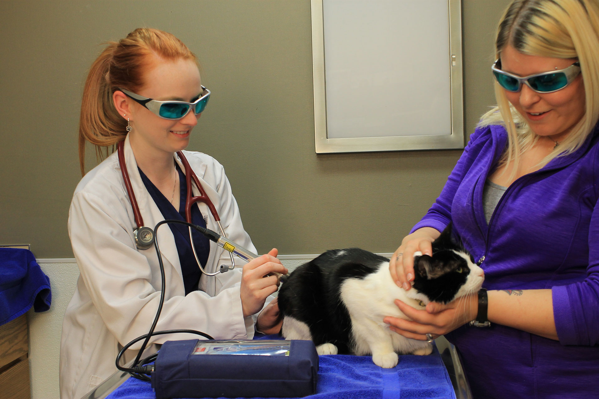 Laser Therapy Edgewater, FL 